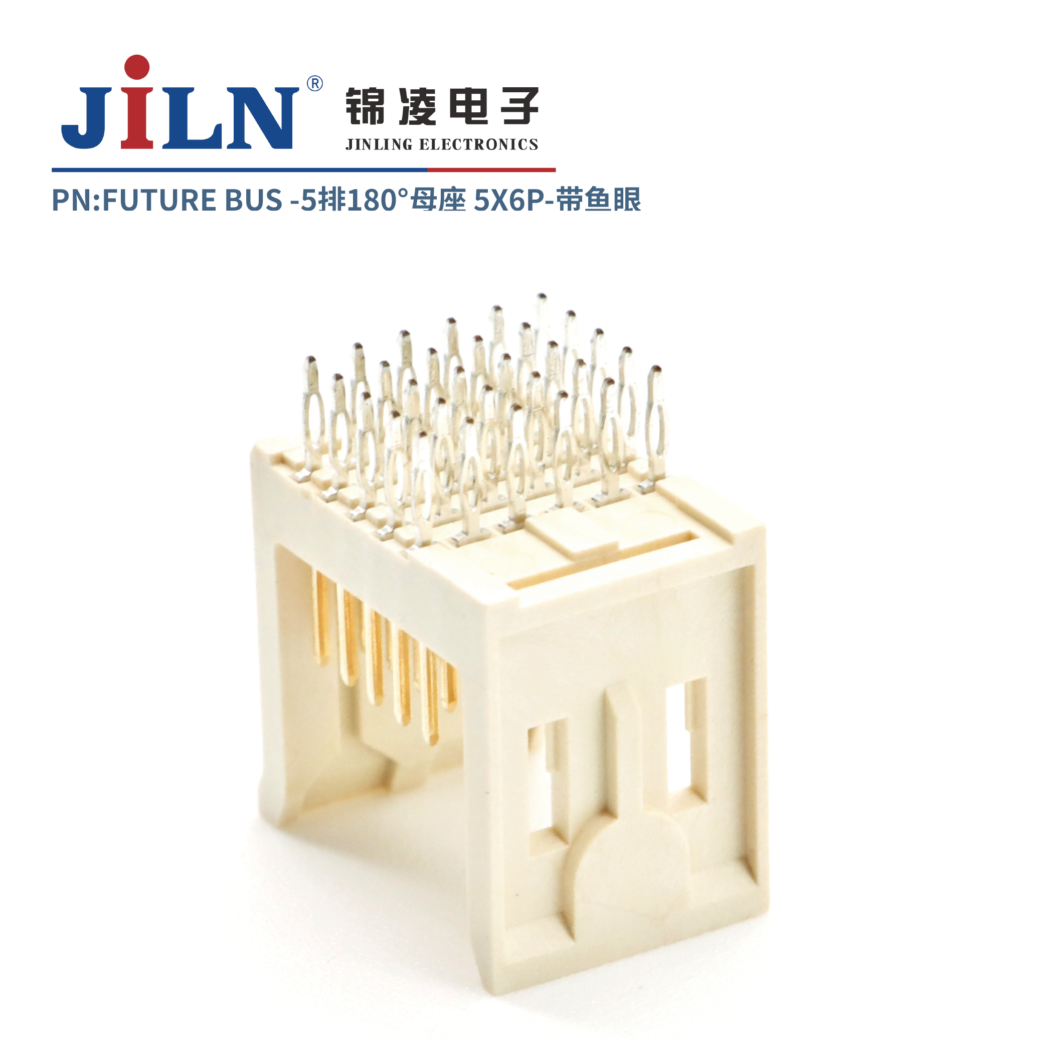 FUTURE BUS/5*6P/180�㹫��/�����⺸ʽ